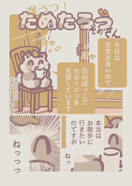 うつ病たぬきの漫画
日光浴